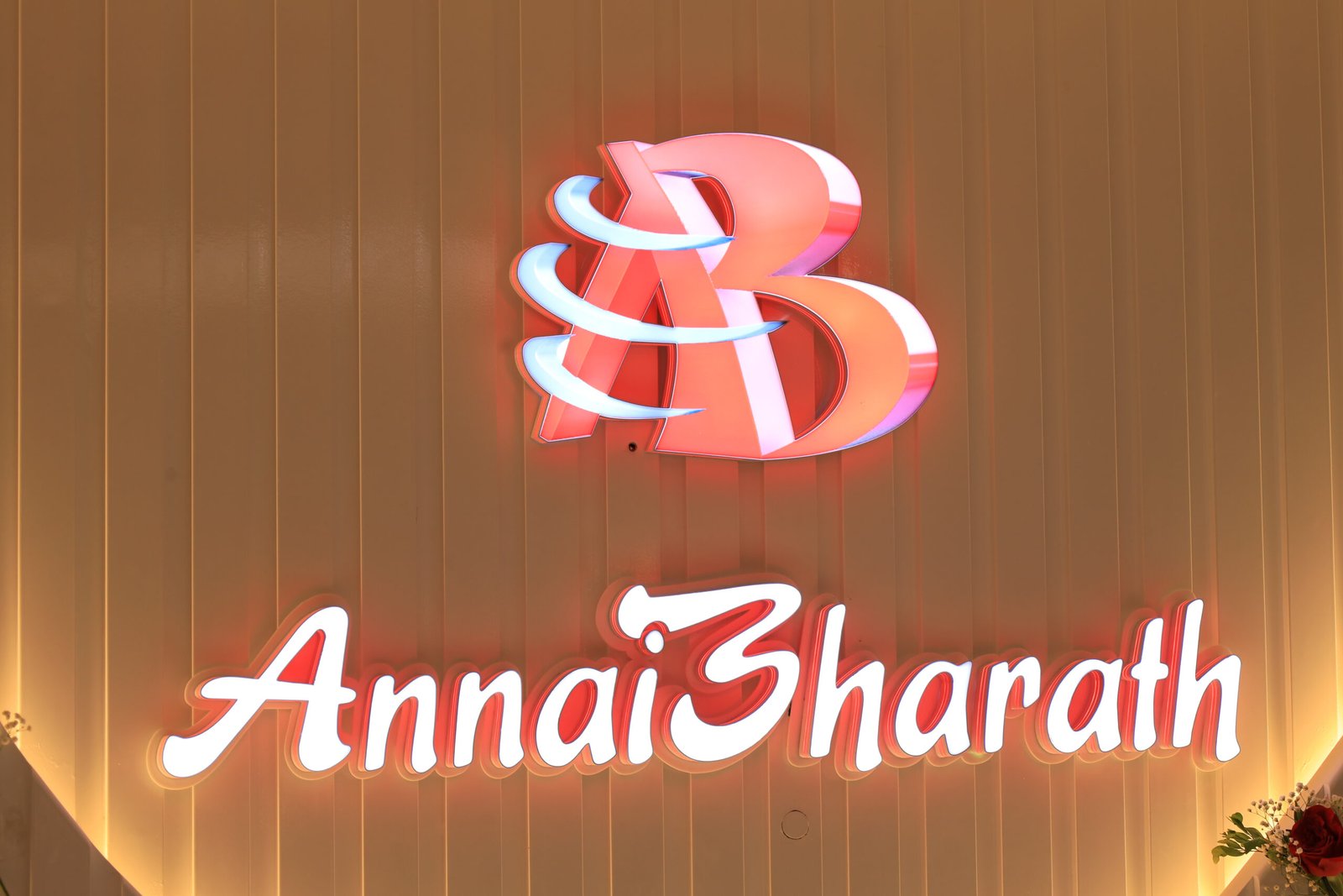 Luxury Exterior View